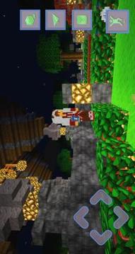 Medieval Adventures Craft - My Horse游戏截图3