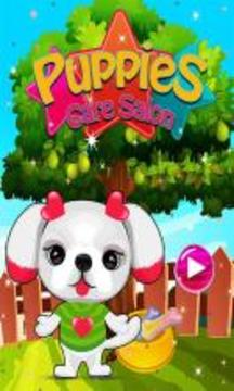 Puppies Care Salon - Animals Care Game游戏截图1