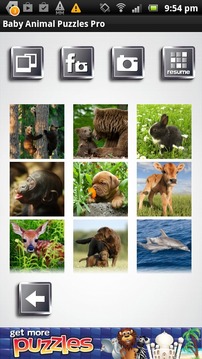 Baby Animal Puzzles Free Game游戏截图4