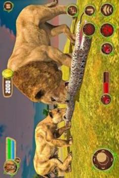 Furious Lion Vs Angry Anaconda Snake: Wild Sim游戏截图3