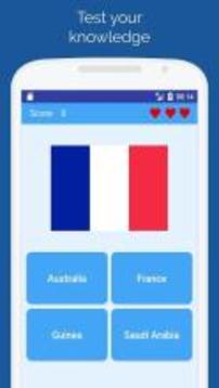 Flags of the World Quiz游戏截图1