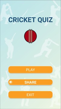 Cricket Quiz游戏截图1