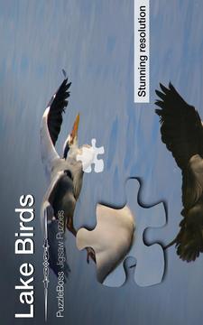 Lake Bird Jigsaw Puzzles游戏截图1