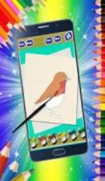 Coloring Book For Kids: Jungle Birds游戏截图2