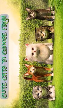 Cute Cat Adventure 2016游戏截图5