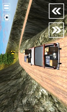 Speed Roads 3D游戏截图5