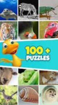 1000 Pics Puzzle -Word Puzzle Game with 4 Pics游戏截图5