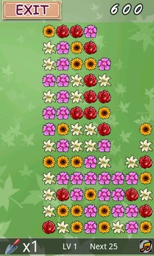 Puzzle Flower shop游戏截图3