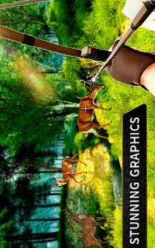 Wild Animal Archery Hunter Bird Shooting Game游戏截图4