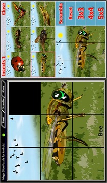 Magic Slide Puzzle Insects 1游戏截图5