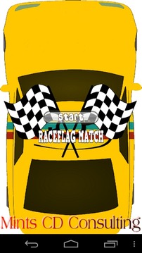 Racing Flag Match游戏截图1