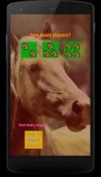 Horses memory game - beautiful photos of horses游戏截图4