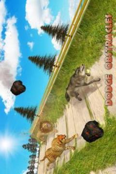 Wild Animal: Extreme Ramp Racing游戏截图1