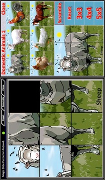Magic Slide Puzzle D.Animals1游戏截图1