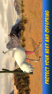 Ostrich Bird Simulator 3D游戏截图2