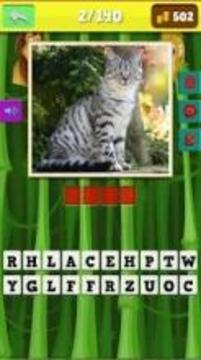 safari animals quiz游戏截图3