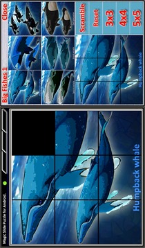 Magic Slide Puzzle B Fishes 1游戏截图2