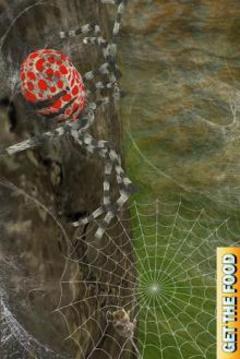 Spider Family Nest Simulator 3D游戏截图3