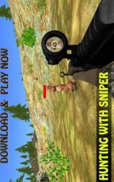 Rabbit Hunting: Sniper Safari Shooting Season 2018游戏截图3