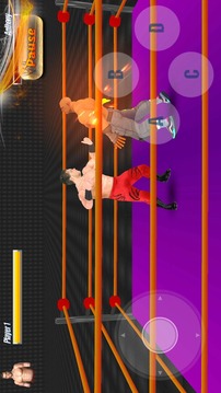 Wrestling Revolutions 3D游戏截图1