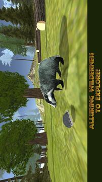 Badger Simulator - Animals Wild Life 3D游戏截图5