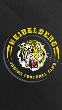 Heidelberg Senior & Junior FC游戏截图1