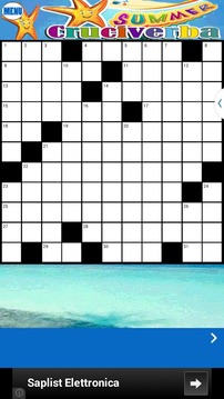 Summer Cruciverba游戏截图3