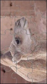 Camel Jigsaw Puzzles Game游戏截图2