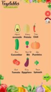 Vegetables Vocabulary游戏截图3