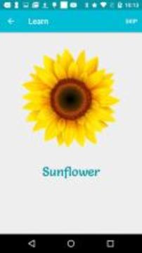 Flowers - Learn, Spell, Quiz, Draw, Color & Games游戏截图3