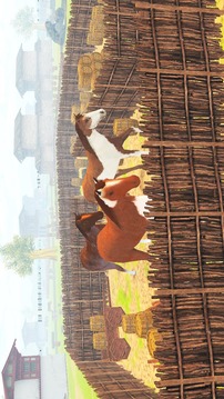 Horse Simulator Free -Real Wild Horse Adventure 3D游戏截图3