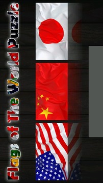 Flags of The World Puzzle游戏截图1