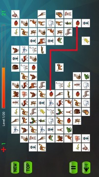 Pikachu Real Animals游戏截图4