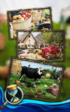 Hidden Mystery: Farm Secrets游戏截图4