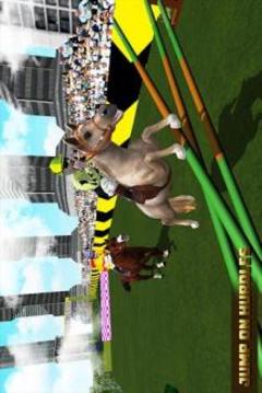 Ultimate Horse Racing Simulator 3D游戏截图2