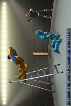 Tag Team Superhero Ladder Wrestling Tournament游戏截图1