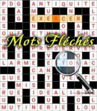 France Crossword Puzzle Free游戏截图3