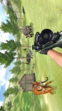 Animal shooting hunter game游戏截图3