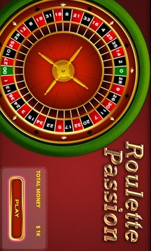 Roulette Passion游戏截图2