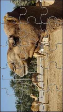 Camel Jigsaw Puzzles Game游戏截图4