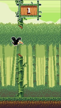 Toucan Dan:Bamboo Adventures游戏截图1