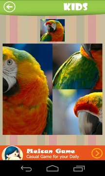 Tiled Picture Game - Animal游戏截图2