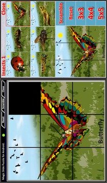 Magic Slide Puzzle Insects 1游戏截图4