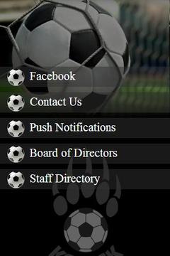 Kodiak Soccer Club游戏截图2