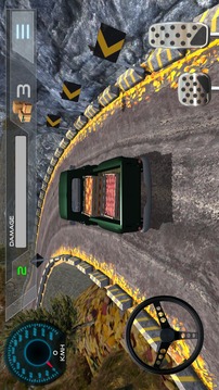 Truck Driver Simulator Plus游戏截图4
