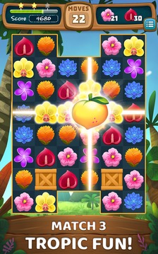 Blossom Blitz Tropic游戏截图2