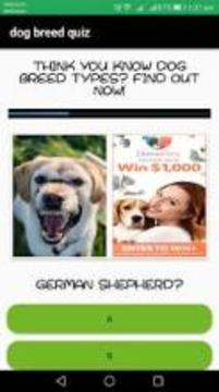 dog breed quiz: dog breed characteristics quiz游戏截图3