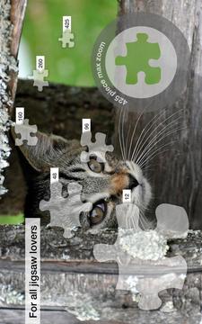 Cute Cats Jigsaw Puzzles游戏截图2