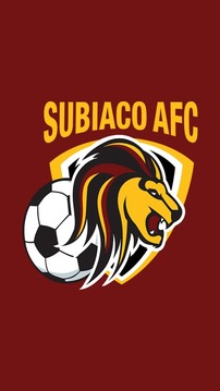 Subiaco AFC游戏截图1