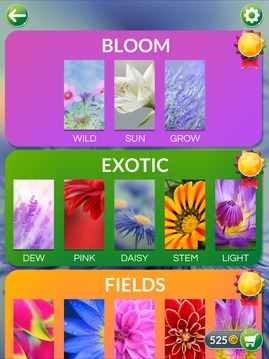 Word Flowers游戏截图4